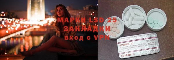 apvp Алзамай