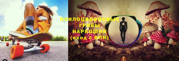 apvp Алзамай