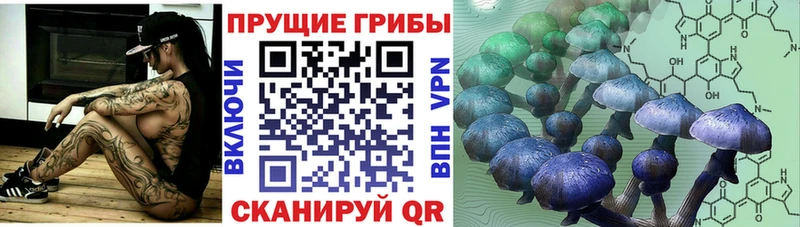 нарко площадка Telegram Арамиль Галлюциногенные грибы мицелий